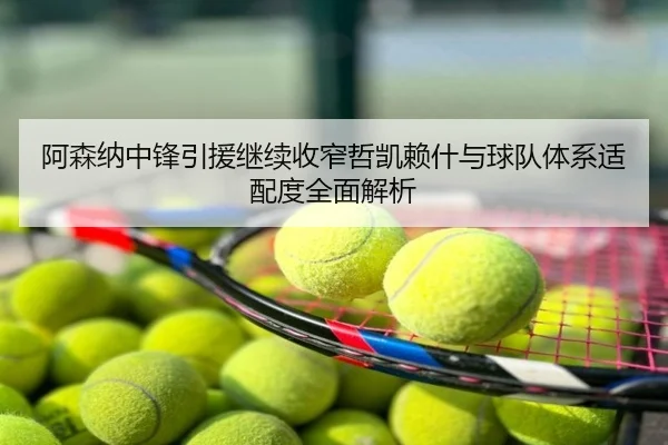阿森纳中锋引援继续收窄哲凯赖什与球队体系适配度全面解析