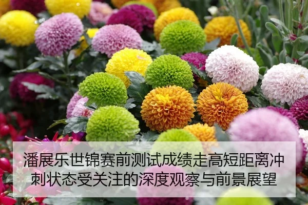 潘展乐世锦赛前测试成绩走高短距离冲刺状态受关注的深度观察与前景展望