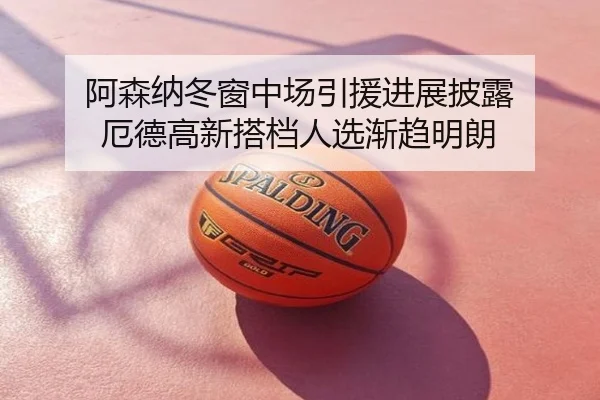 阿森纳冬窗中场引援进展披露 厄德高新搭档人选渐趋明朗