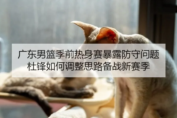 广东男篮季前热身赛暴露防守问题 杜锋如何调整思路备战新赛季